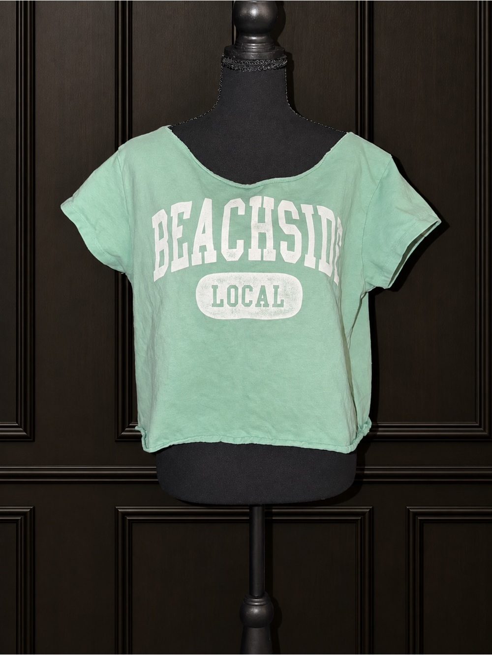 American Eagle Beachside Local Graphic Tee Women’s L Mint Green Cropped T-Shirt